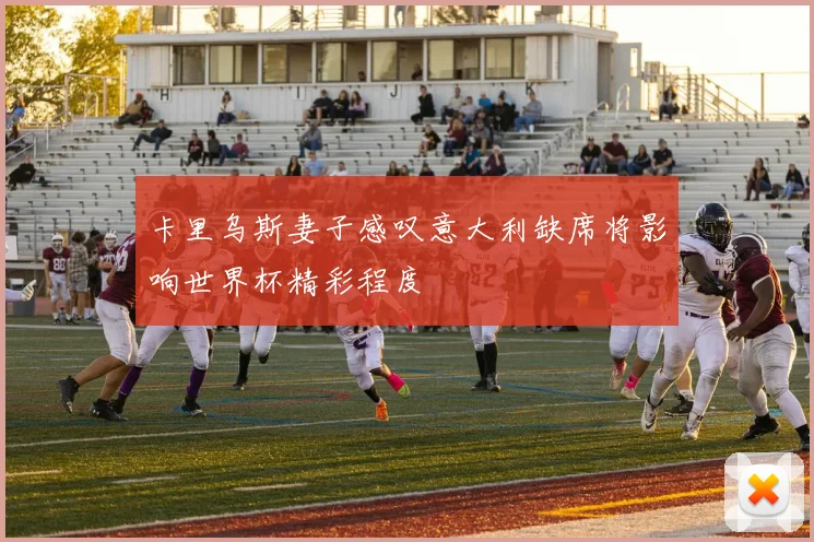 卡里乌斯妻子感叹意大利缺席将影响世界杯精彩程度