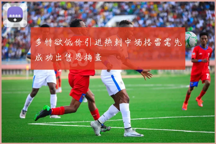 多特欲低价引进热刺中场格雷需先成功出售恩梅查